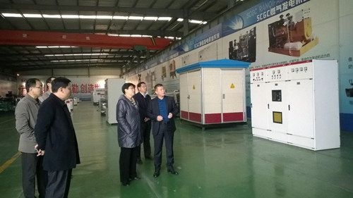 Secretary Li Zhihong inspected our company